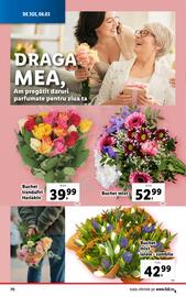 Catalog Lidl săptămâna 10 Pagină 70