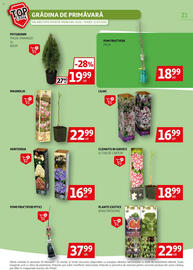 Catalog Auchan Pagină 21