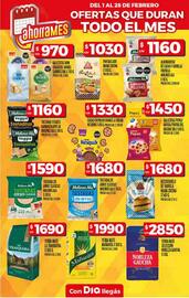 Catálogo Supermercados DIA Página 25