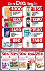 Catálogo Supermercados DIA Página 3