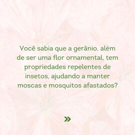 Catálogo Asun semana 9 Página 3