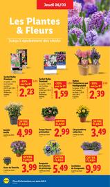 Catalogue Lidl semaine 10 page 28