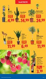 Catalogue Lidl semaine 10 page 29