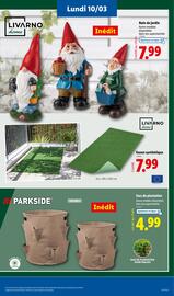 Catalogue Lidl semaine 10 page 53