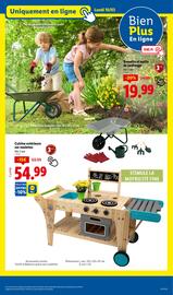 Catalogue Lidl semaine 10 page 65