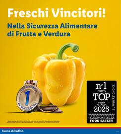 Volantino Lidl settimana 10 Pagina 3