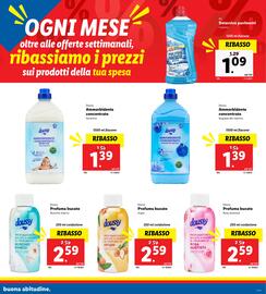 Volantino Lidl | Ribassi del mese Pagina 13