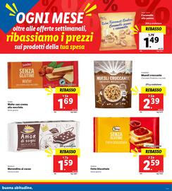 Volantino Lidl | Ribassi del mese Pagina 9