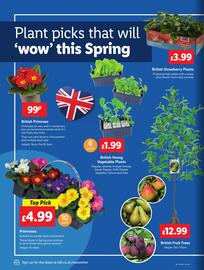 Lidl leaflet week 10 Page 18