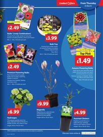 Lidl leaflet week 10 Page 19