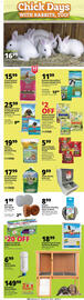 Rural King Weekly Ad Page 2