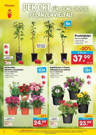 Netto Marken-Discount Prospekt Seite 8