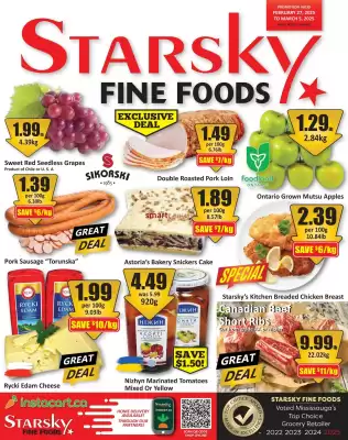 Starsky flyer (valid until 5-03)