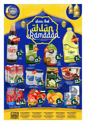 Bigmart catalogue (valid until 3-03)