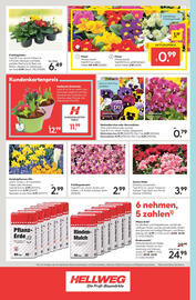 Hellweg Flugblatt woche 9 Seite 20