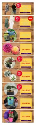 Terra Green Houses flyer (valid until 6-03)