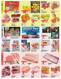 Terra Foodmart flyer week 9 Page 2