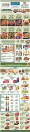 Lakeview Grocery Weekly Ad week 9 Page 1