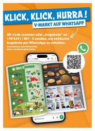 V Markt Prospekt woche 10 Seite 22