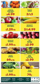 Little Giant Weekly Ad week 9 Page 3