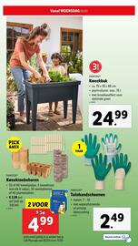 Lidl folder week 10 Pagina 37