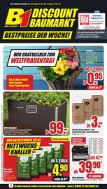 B1 Discount Baumarkt Prospekt woche 9 Seite 1