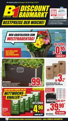 B1 Discount Baumarkt Prospekt (gültig bis 7-03)