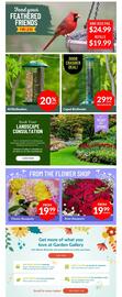 Lakeside Garden Gallery flyer week 9 Page 2