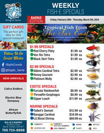 Big Al&#x27;s Pets flyer week 9 Page 1