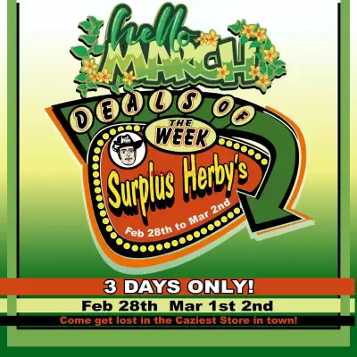 Surplus Herby's flyer (valid until 3-03)