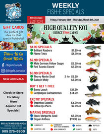 Big Al&#x27;s Pets flyer Page 1