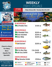 Big Al&#x27;s Pets flyer Page 1