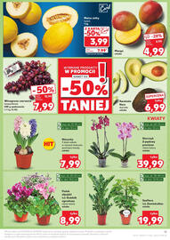 Kaufland gazetka Strona 11