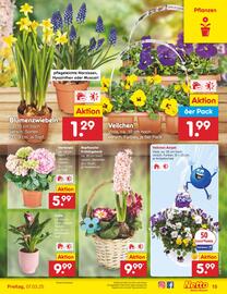 Netto Marken-Discount Prospekt woche 10 Seite 21