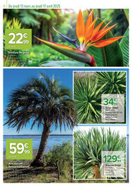 Catalogue Carrefour page 6