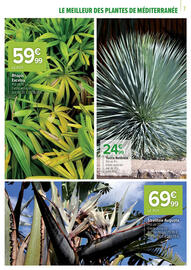 Catalogue Carrefour page 7