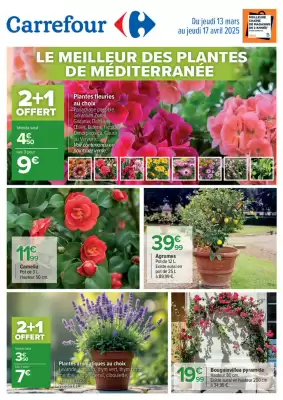 Catalogue Carrefour (valable jusqu'au 17-04)