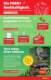 PENNY Flugblatt woche 10 Seite 29