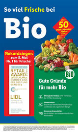 Lidl Prospekt woche 10 Seite 13