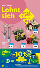 Lidl Prospekt woche 10 Seite 16