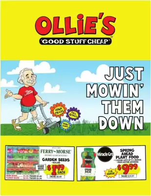 Ollie's Weekly Ad (valid until 6-03)