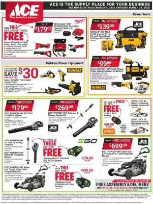 Ace Hardware Weekly Ad (valid until 31-03)