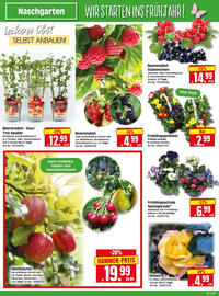 Edeka Herkules Prospekt woche 10 Seite 2