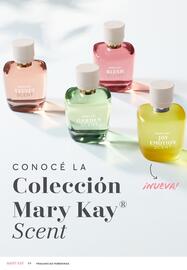 Catálogo Mary Kay Página 64