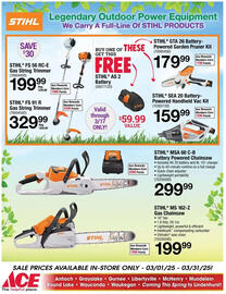 Ace Hardware Weekly Ad Page 10