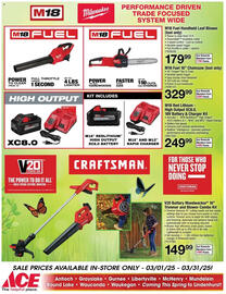 Ace Hardware Weekly Ad Page 11