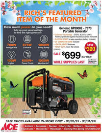 Ace Hardware Weekly Ad Page 12