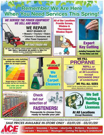 Ace Hardware Weekly Ad Page 13