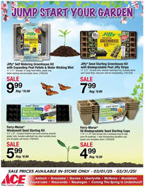 Ace Hardware Weekly Ad Page 2