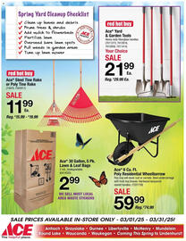 Ace Hardware Weekly Ad Page 3